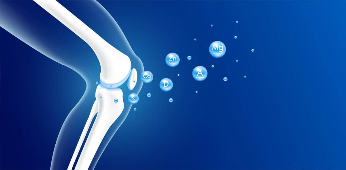 Santé osseuse et nutrition : au-delà du calcium et de la vitamine D